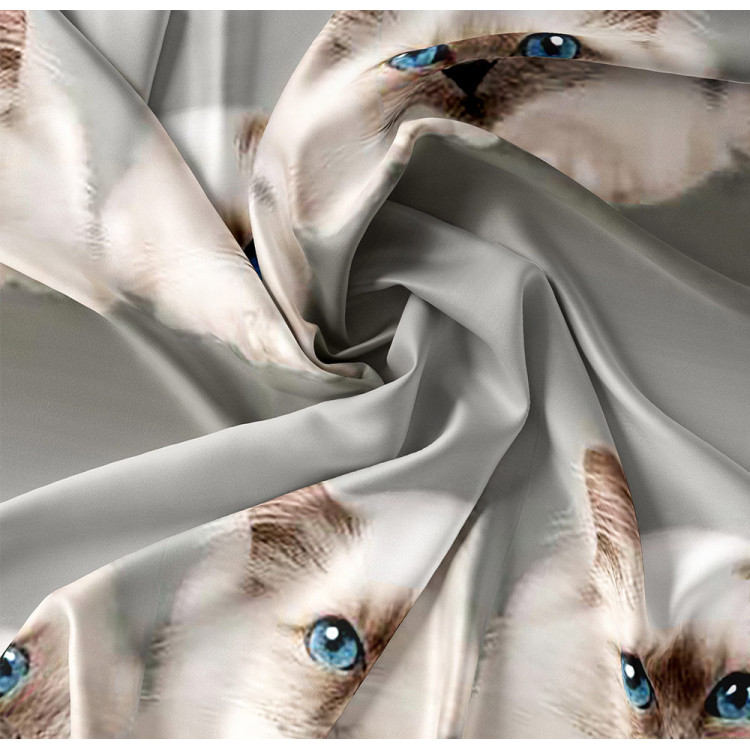 Pościel 160x200 bawełna satynowa 3D Cotton World gruba z prześcieradłem 4 części 1914 kot Pościel 160x200 bawełna satynowa 3D Cotton World gruba z prześcieradłem 4 części 1914 kot