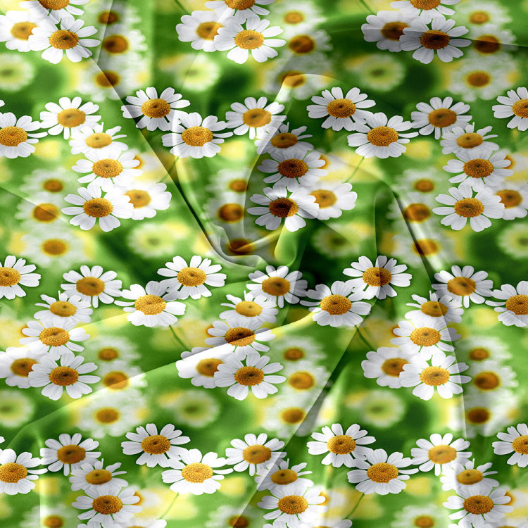 Pościel 160x200 bawełna satynowa 3D Cotton World gruba 3 części 2475 kwiaty rumianku
