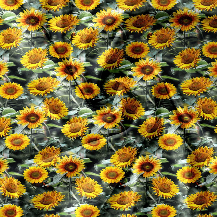 Pościel 200x220 bawełna satynowa 3D Cotton World gruba 3 części 2476 słoneczniki