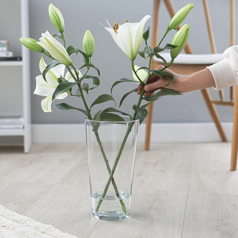 Wazon szklany prosty osłonka 20 cm bezbarwny  Florina 3W 7115