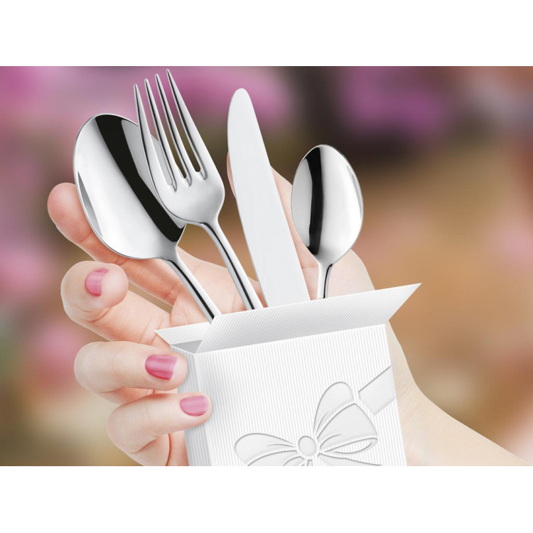 Sztućce do restauracji Palmon 8410 Amefa 48 elementów na wesele Sztućce do restauracji Palmon 8410 Amefa 48 elementów na wesele