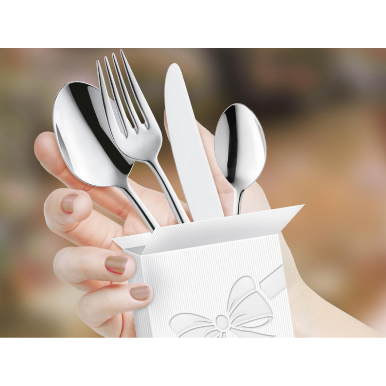Sztućce na wesele Bologna 1570 Amefa 24 sztuki sztućców do restauracji Sztućce na wesele Bologna 1570 Amefa 24 sztuki sztućców do restauracji