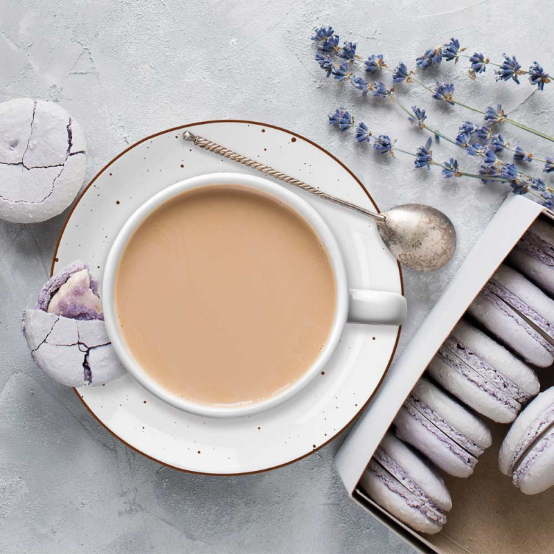 Serwis kawowy porcelanowy MG Home Gemma 8 elementów zestaw filiżanek 240 ml ze spodkami dla 4 osób biały nakrapiany