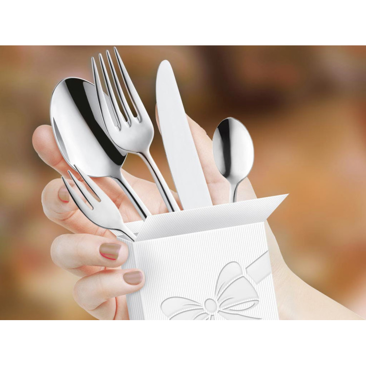 Sztućce restauracyjne Amefa Astoria 1249 5szt/1os zastawa stołowa Sztućce restauracyjne Amefa Astoria 1249 5szt/1os zastawa stołowa